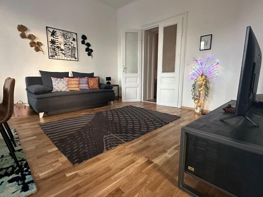 Klimatisierter Wiener Altbauflair Im Zentrum Wiens Dış mekan fotoğraf
